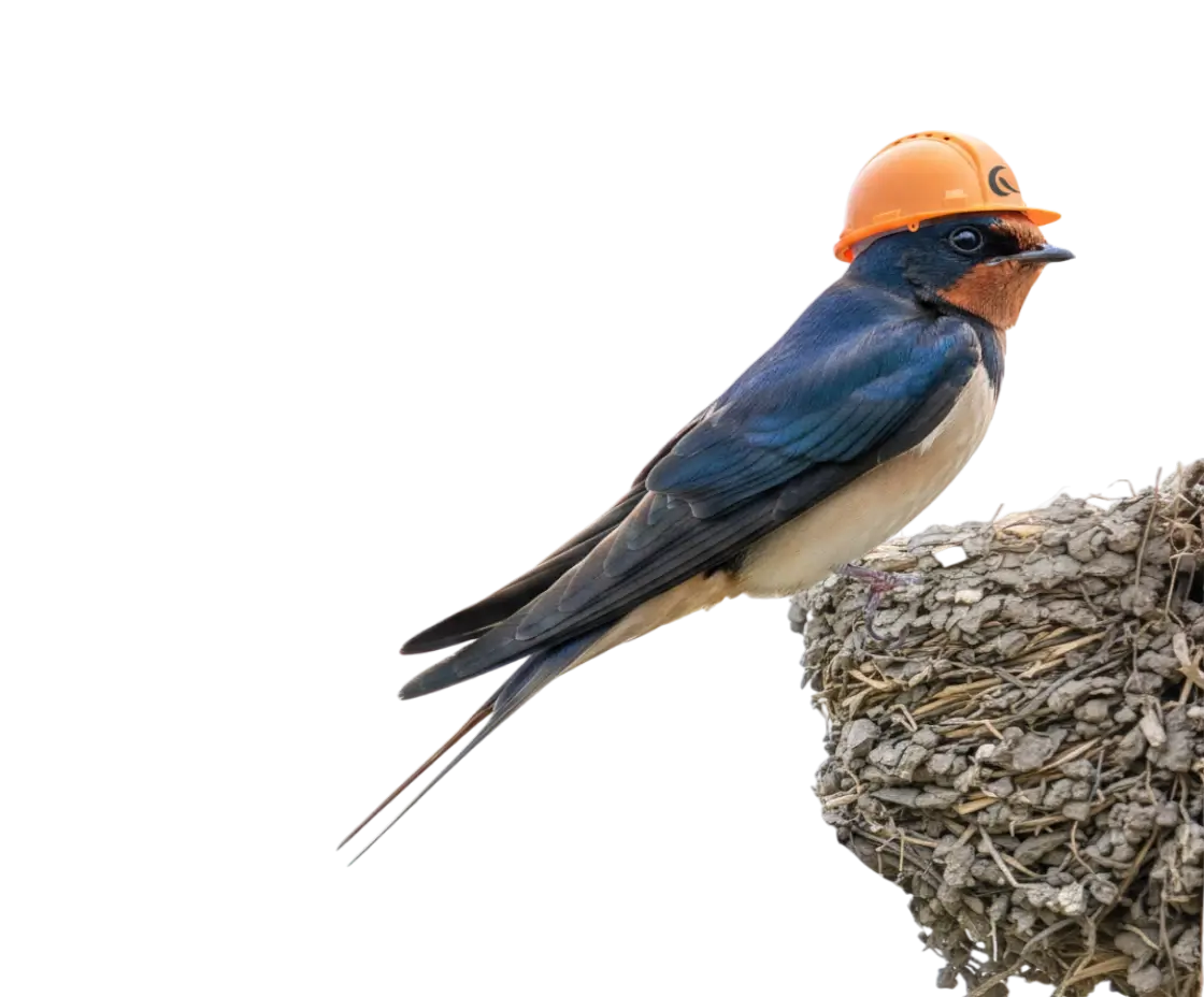 Lastovička montážnik